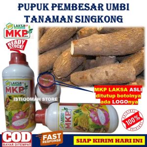 Pupuk MKP LAKSA GROW 500ML Pupuk Cair Obat Pembesar Umbi Singkong - Pupuk Pelebat Buah Singkong - Pupuk Khusus Singkong - Pupuk MKP Cair untuk Tanaman Singkong Ketela Pohon Terbaik Bagus MURAH TERLARIS