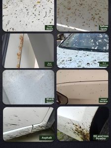 COLSTON | Bird Poop Insect Resin Tree Resin Rainmark Yellow Black Spots Removal Strong Decontamination Car Wash Cleaner
