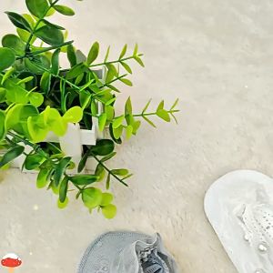 Tất nữ ren thuyền ngọc trai mùa hè thấm hút mồ hôi. Vớ nữ lười thuyền mỏng giữ form chống trượt có ngọc trai trang trí