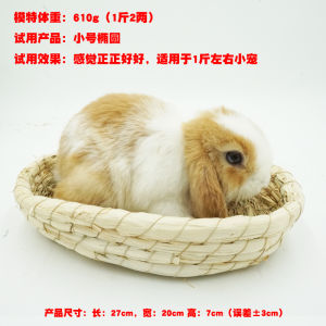 Thảm Lót Chuồng Thỏ Thủ Công Bằng Rơm Nhà Ẩn Nấp Cho Mèo Chuột Túi Thạch Anh Động Vật Cưng Đồ Dùng Cho Thú Cưng Mùa Hè Mát Mẻ Mùa Đông Ấm Áp