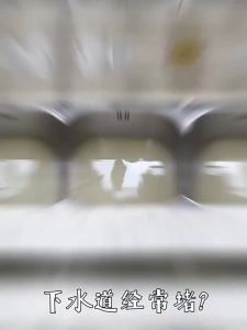 ORGINESE | Powerful Drain Unblocker Dissolving Odor Blocking Insect Killer