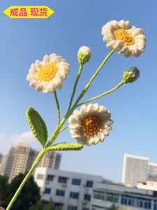White Daisy Crochet Flower Bouquet