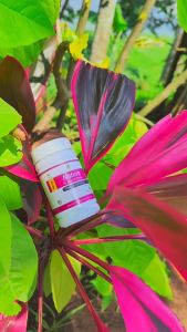 Paket Gemuk Badan Original NATURE GEMUK BADAN Cpas & Honey Paling Ampuh Menggemukan Badan Permanen