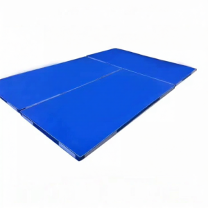Sporting Gymnastic Mat Martial Arts Training Judo Pad Flip Sponge Adhesive Connector Mat Olympic Sailing Da Exercise Pad