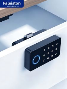 FALEISTON | Fingerprint & Password Security Lock for Office Cabinets Shoe Cabinets and Home Storage