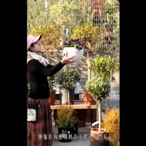 Creative Home Garden Supplies Adjustable Hanging Hook Suitable for Hanging Pots Hanging Orchids Flower Pots Bird Cages Source