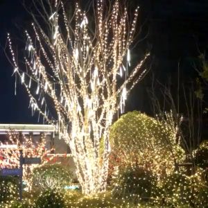 TY Lampu Meteor Led Hujan 8 Batang 50 Cm Rain Snow Dekorasi Taman