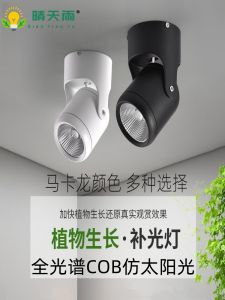 Plant Grow Light Full Spectrum Imitation Sun Illumination Rainforest Cylinder For Home Indoor Led Photosynthesis Growth Spotlight