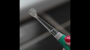 bblüv Sönik Replacement brush heads (Additional Replacement Brush Heads for 3-Stage Ultrasonic Toothbrush)