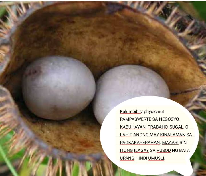 Bolgacha jinsiy aloqa Umidsiz yalangoch qizlar rasmlari