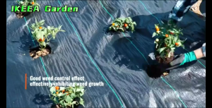 โค้ดส่งฟรี*คลุมดิน (เกรด A) ผ้าคลุมวัชพืช น้ำซึมผ่านได้ คลุมวัชพืช พลาสติกคลุมวัชพืช หมดปัญหาหญ้าขึ้นกวน ขนาด50~100ม