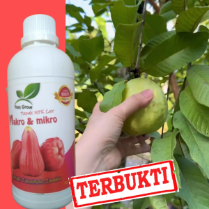 Pupuk Cair 500 ml Booster Jambu Kristal untuk Buah Besar & Manis