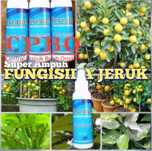 Pembasmi Hama Jeruk Fungisida Tanaman Kutu Putih Tungau Serangga Semut 100ml