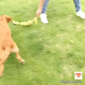 Six Knots Cotton Rope Dog Toy 50cm Long Pet Toy Bite Resistant Large Dog Toy Molar Rope Teeth Cleaning