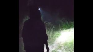 FAST DELIVERY AMARYLLIS Senter LED Kepala Headlamp Cas Super Terang Jarak Jauh Waterproof 7 XPG