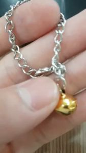 Vòng cổ inox không gỉ loại nhẹ cho sóc chuột...động vật nhỏ (chỉ để đeo không để xích)