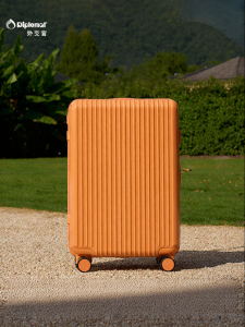 Diplomat | Large Capacity Womens Password Travel Luggage 20/28 Inches