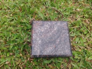 พาราดิโซ่ (Paradiso) หินมีสายแร่ดำขาวและมีผลึกสีส้มแต้มสวยงาม เหมาะสำหรับการจัดวางสิ่งของ