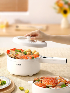 Multifunctional Electric Steam Cooker