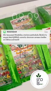 ซีวีด Seaweed 100 กรัม  ซีวีดพรีเมี่ยม สาหร่ายทะเลสกัดเข้มข้น  ฟื้นต้นไว ใบสมบูรณ์ พืชนำไปใช้ได้เร็ว แตกตาใบ เปิดตาดอก ขยายผล ช่วยเรื่องราก ใช้กับระบบน้ำหยดได้