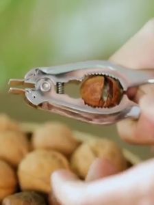 Pembuka Kerang Clam Opener Seafood Cracker Nut Cracker Practical Kitchen Opener Tools