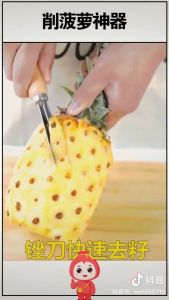4PCS Pineapple PeelerCutter Pineapple Seed Remover Set Stem Huller Fruit Peeler Multifunctional Stem Remover Tool