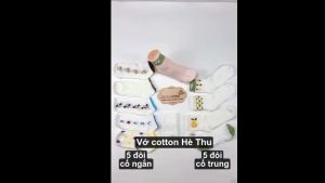 5 cặp Vớ cotton hè thu tất mỏng nhẹ dệt thoáng GLSock002