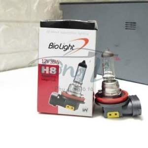 Bóng đèn H8 12V 35W Bóng đèn gầm đèn cản Kia K3 Cerato Forte Hyundai I10 I20 … Hàng BioLight Hàn Quốc