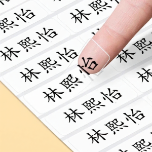 WEIKAMAYI | Waterproof Transparent Name Sticker
