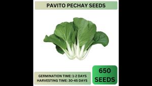 (BUY 1 GET 1) HIGH QUALITY VEGETABLE SEED - REGULAR PACK