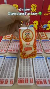 4D Lucky Shaker Keychain | Number 0–9 | Singapore Style Lucky Charm | Fun Lottery Accessory