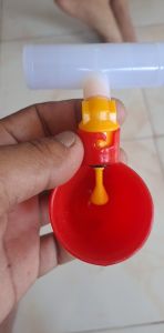 Automatic Cup Federer Poultry Product