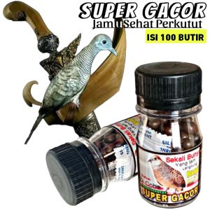 JAMU PERKUTUT SUPER GACOR isi 100 butir obat malas bunyi biar cepat gacor jamu perkutut thailand bangkok lokal larasati super kuong raja gacor pro super eco lokal majapahit ponik gold platonic jpj madura koong crystal manggung bocor pakan kutut nutrobird