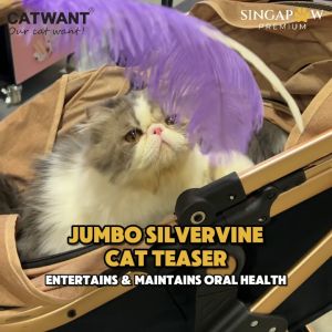 CatWant Jumbo Silvervine Teaser with Real Ostrich Pheasant Feathers Extra Long Stick Chaser Feline Cat Toy