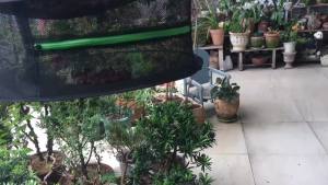 Drying Net Dry Food Herbs Fish Fruit Herb Spice Plant Greens Herbal Meat Dryer Laundry Storage Organization Home Garden