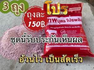 ยอดขายอันดับ1เทพบุตรโปรพลัส วิตามินบำรุงสัตว์ 1ถุง (1กิโลกรัม)