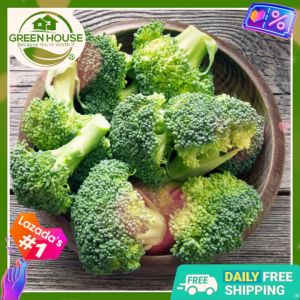 Green House® - Italian Broccoli Hybrid Seeds for Planting Vegetable Plants (50 Seed) incl. Instructions Brokoli Plant
