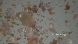 ผ้ารองปูที่นอนอนามัย  สลีปเวลล์ ขนาด5 ฟุต