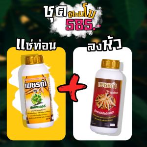 ชุดรวม แช่ท่อนพันธุ์1+ลงหัว1 500cc.