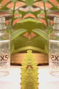 Combo 2 chai - Serum dưỡng ẩm và ch ống lão hóa Meso Beauty X5