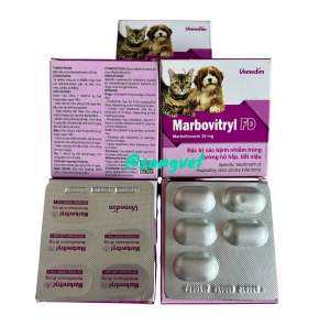Vemedim Marbovitryl FD 10 Viên - nhiễm trùng đường hô hấp tiết niệu trên chó mèo