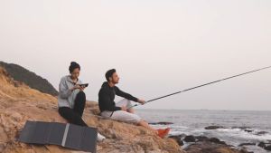 Bộ sạc năng lượng mặt trời 40W Choetech SC006 di động có thể gấp gọn (Hàng chính hãng)