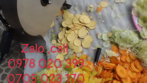 Máy cắt lát củ quả chạy điện