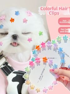 Colorful Flower Dog Hair Clips