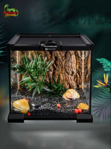 Tailwise | Pet Reptile Terrarium Glass Tank