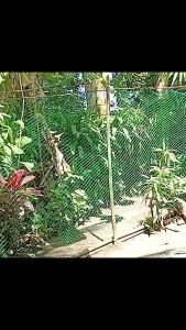 【 Hot 】 Multi-functional chicken net nylon 50/100/200 meters upgraded range breeding fence fishing outdoor garden vegetable plot fence corrosion-resistant