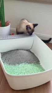 [Bundle of 1/2/4 ] Australia ZODIAC Fruity Tofu Cat Litter 7L Biodegradable Flushable Cat Litter Superior Absorbent Quick Clumping 99.9% Dust-free