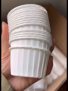 50pcs Golden Muffin Cupcake Paper Cup Oilproof Cupcake Liner Baking Cup Tray Case Wedding Party Caissettes Cupcake Wrapper Paper