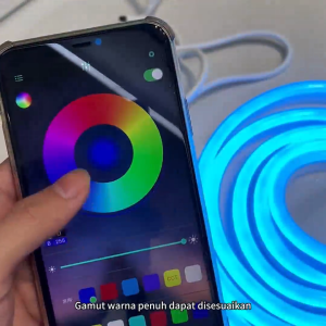 LAMPU LED STRIP Selang Strip LED RGB 220v Warna + Aplikasi Jarak Jauh RGB IP66