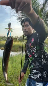 กบส่ายน้าโต้ พัทลุง V.2 กบส่าย ขนาด 2.5 ซม.หนัก 8 กรัม เบ็ดเบอร์ 2/0 มีให้เลือก 7 สี ส่ายทำให้เกิดเสียงเรียกปลานักล่าให้มากัดเหยื่อ เบ็ด ตกปลา